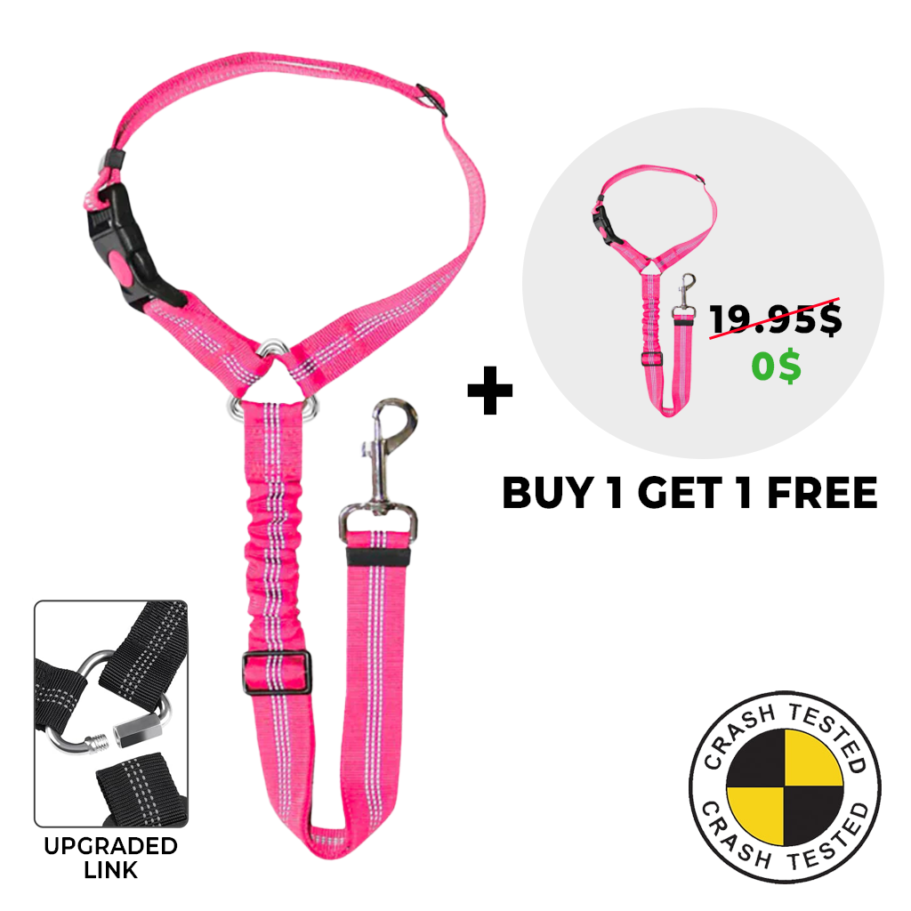 FuzzyGo Dog Car Safety Seat Belt & Leash