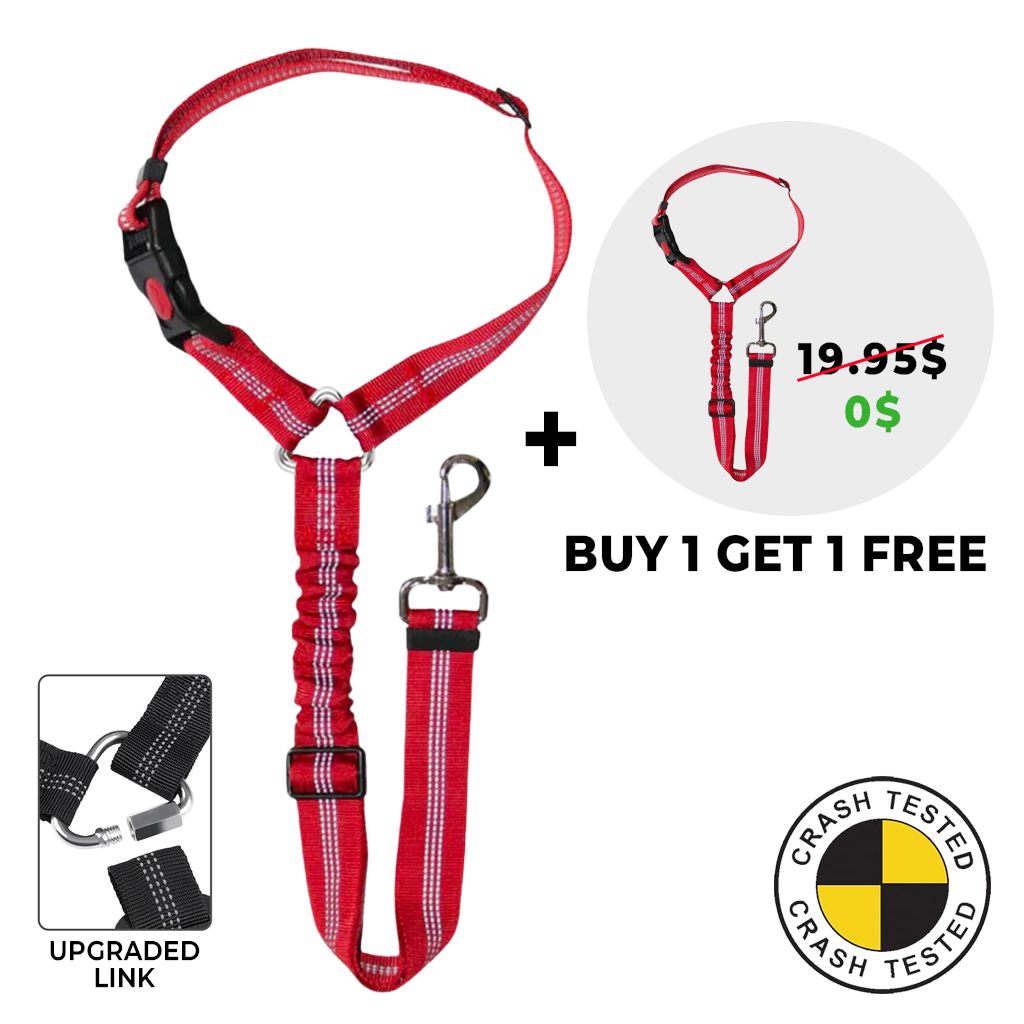 FuzzyGo Dog Car Safety Seat Belt & Leash