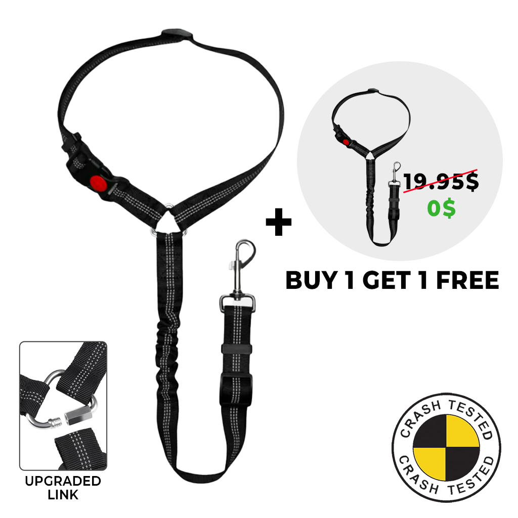FuzzyGo Dog Car Safety Seat Belt & Leash
