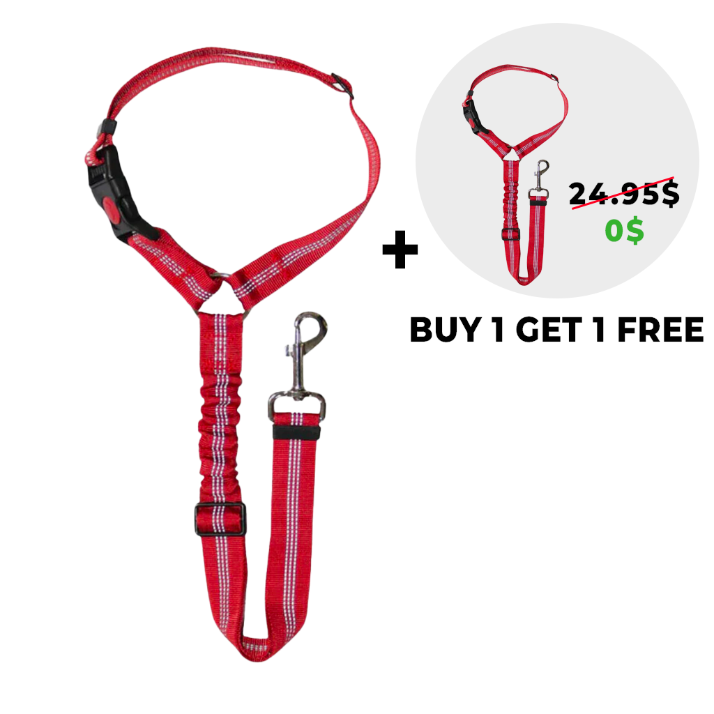 FuzzyGo Adjustable Dog Car Safety Seat Belt & Leash